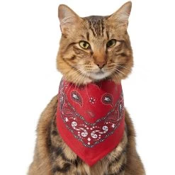 Frisco Red Paisley Dog & Cat Bandana -Pet Cat Supplies Shop 267919 PT3. AC SS1800 V1637652719