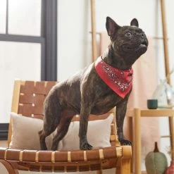 Frisco Red Paisley Dog & Cat Bandana -Pet Cat Supplies Shop 267919 PT5. AC SS1800 V1637687581