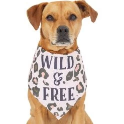 Frisco Pink Leopard Dog & Cat Bandana -Pet Cat Supplies Shop 267922 PT2. AC SS1800 V1637646441