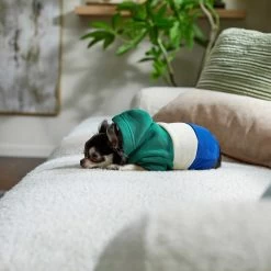 Frisco Colorblock Dog & Cat Hoodie With Sleeves -Pet Cat Supplies Shop 267968 PT6. AC SS1800 V1637715446