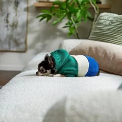 Frisco Colorblock Dog & Cat Hoodie With Sleeves -Pet Cat Supplies Shop 267968 PT8. AC SS1800 V1629760135