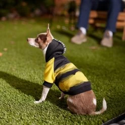 Frisco Rebel Dog & Cat Hoodie -Pet Cat Supplies Shop 267994 PT8. AC SS1800 V1629758309