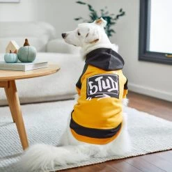 Frisco Stud Dog & Cat Hoodie -Pet Cat Supplies Shop 268002 PT8. AC SS1800 V1629764770