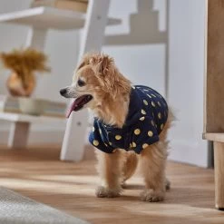Frisco Lightweight Gold Dotted Dog & Cat Jacket, Navy -Pet Cat Supplies Shop 268247 PT8. AC SS1800 V1629758988