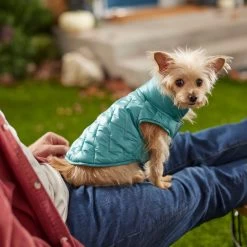Frisco Lightweight Packable Insulated Dog & Cat Quilted Puffer Coat, Ocean Teal -Pet Cat Supplies Shop 268280 PT8. AC SS1800 V1629836601