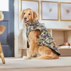 Frisco Mediumweight Camo Print Insulated Dog & Cat Zippered Coat, Green 13 Frisco Mediumweight Camo Print Insulated Dog & Cat Zippered Coat, Green -Pet Cat Supplies Shop 268295 PT8. AC SS1800 V1629755320
