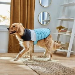 Frisco Mediumweight Colorblock Insulated Dog & Cat Puffer Coat With Pocket, Blue -Pet Cat Supplies Shop 268311 PT8. AC SS1800 V1629766581
