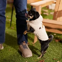 Frisco Lightweight Soft Sherpa Dog & Cat Coat, Oatmeal -Pet Cat Supplies Shop 268328 PT8. AC SS1800 V1629835850