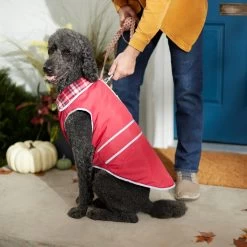 Frisco Mediumweight Reflective Water-Resistant Insulated Dog & Cat Coat -Pet Cat Supplies Shop 268342 PT8. AC SS1800 V1629764397