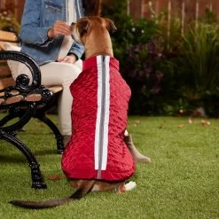 Frisco Mediumweight Reflective 2-in-1 Dog & Cat Fleece Coat -Pet Cat Supplies Shop 268359 PT8. AC SS1800 V1629759326