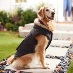 Frisco Mid-Heavyweight Cinching Insulated Dog & Cat Parka, Black/Red Plaid -Pet Cat Supplies Shop 268382 PT8. AC SS1800 V1629762008