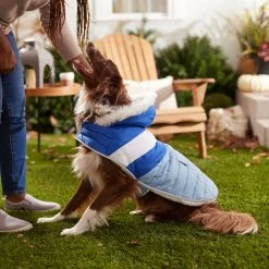 Frisco Heavyweight Chevron Insulated Dog & Cat Parka With Pocket -Pet Cat Supplies Shop 268405 PT8. AC SS1800 V1629766395