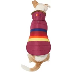 Frisco Mediumweight Colorblock Adventure Insulated Dog & Cat Parka