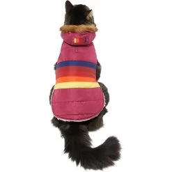 Frisco Mediumweight Colorblock Adventure Insulated Dog & Cat Parka -Pet Cat Supplies Shop 268421 PT2. AC SS1800 V1628779779