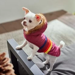 Frisco Mediumweight Colorblock Adventure Insulated Dog & Cat Parka -Pet Cat Supplies Shop 268421 PT8. AC SS1800 V1629835230