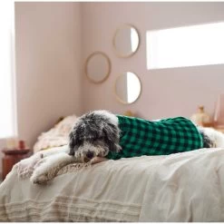 Frisco Dog & Cat Cozy Plush Fleece PJs, Green Plaid -Pet Cat Supplies Shop 268517 PT5. AC SS1800 V1637644798