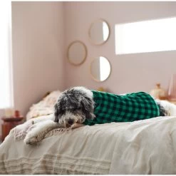 Frisco Dog & Cat Cozy Plush Fleece PJs, Green Plaid -Pet Cat Supplies Shop 268517 PT8. AC SS1800 V1629755447