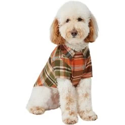 Frisco Orange & Olive Plaid Dog & Cat Flannel Shirt -Pet Cat Supplies Shop 268612 PT2. AC SS1800 V1637682457