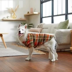 Frisco Orange & Olive Plaid Dog & Cat Flannel Shirt -Pet Cat Supplies Shop 268612 PT7. AC SS1800 V1637721727