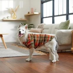 Frisco Orange & Olive Plaid Dog & Cat Flannel Shirt -Pet Cat Supplies Shop 268612 PT8. AC SS1800 V1629759992