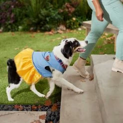 Frisco Chambray Plaid Dog & Cat Dress -Pet Cat Supplies Shop 268637 PT6. AC SS1800 V1637730174