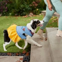 Frisco Chambray Plaid Dog & Cat Dress -Pet Cat Supplies Shop 268637 PT8. AC SS1800 V1629757964