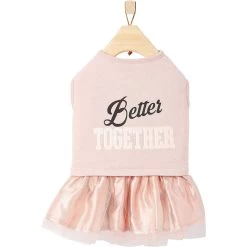 Frisco Better Together Dog & Cat Dress