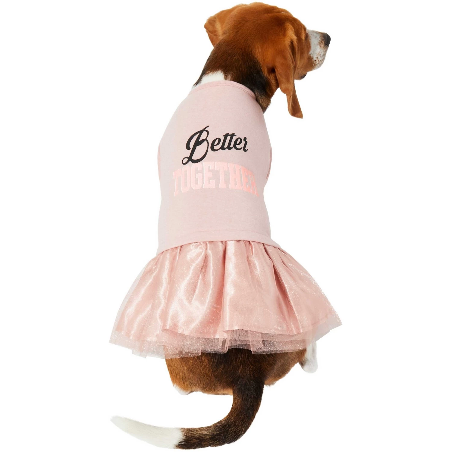 Frisco Better Together Dog & Cat Dress 5 Frisco Better Together Dog & Cat Dress - Image 3