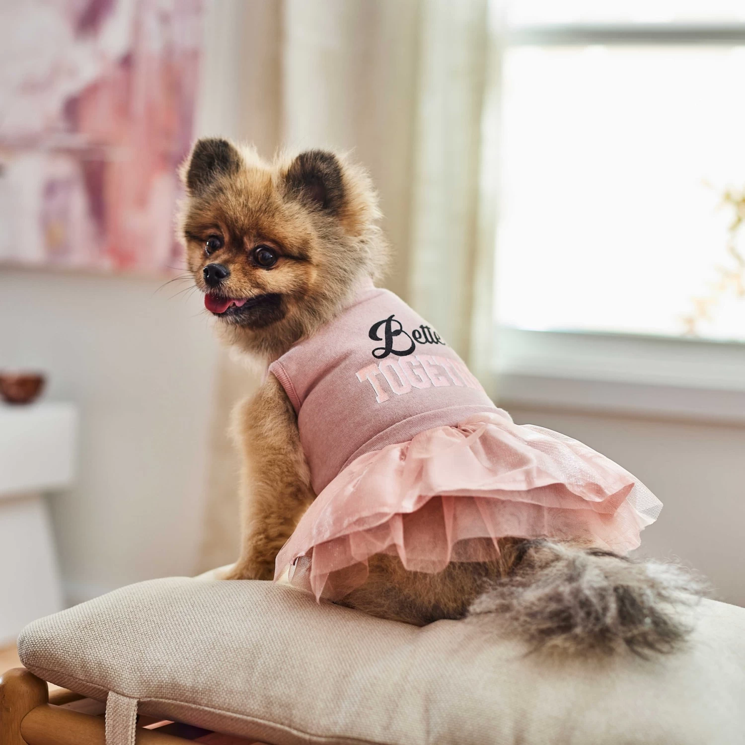 Frisco Better Together Dog & Cat Dress 8 Frisco Better Together Dog & Cat Dress - Image 6