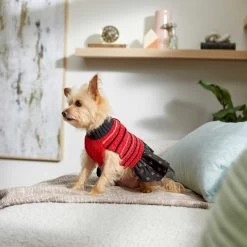Frisco Chenille Knit Striped Dog & Cat Dress -Pet Cat Supplies Shop 268668 PT5. AC SS1800 V1637675198