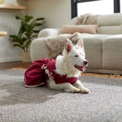 Frisco Plum Dog & Cat Dress -Pet Cat Supplies Shop 268677 PT5. AC SS1800 V1637675815