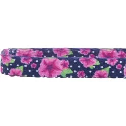 Frisco Midnight Floral Cat Collar -Pet Cat Supplies Shop 269490 PT3. AC SS1800 V1616074636
