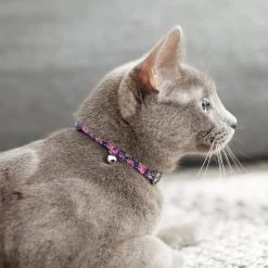 Frisco Midnight Floral Cat Collar -Pet Cat Supplies Shop 269490 PT4. AC SS1800 V1617037508