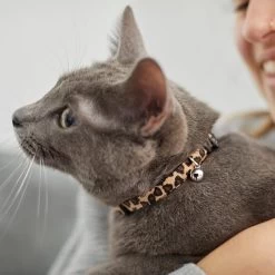 Leopard Print Cat Collar 10 Leopard Print Cat Collar -Pet Cat Supplies Shop 269496 PT4. AC SS1800 V1617037438