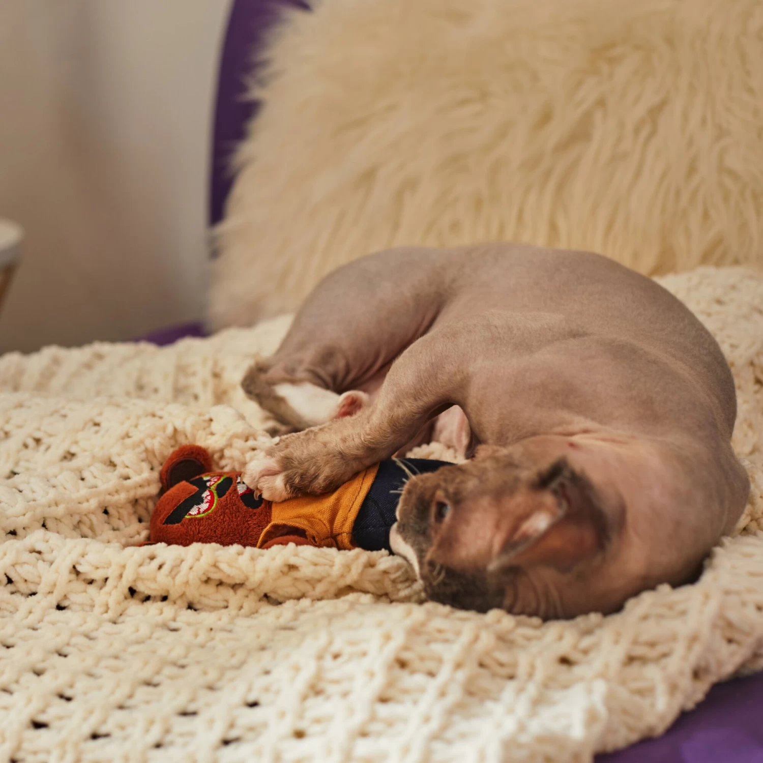 Frisco Halloween Good Bear, Bad Bear Reversible Plush Cat Toy With Catnip 6 Frisco Halloween Good Bear, Bad Bear Reversible Plush Cat Toy With Catnip - Image 4