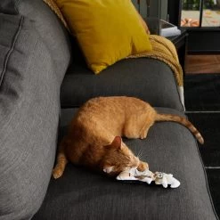 Frisco Halloween Good Witch, Bad Witch Reversible Plush Cat Toy With Catnip 10 Frisco Halloween Good Witch, Bad Witch Reversible Plush Cat Toy With Catnip -Pet Cat Supplies Shop 270301 PT3. AC SS1800 V1624824841