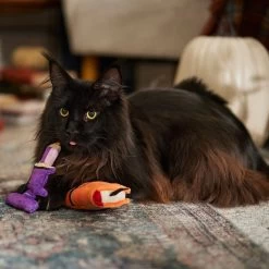 Frisco Halloween Enchanted Book & Candle Plush Cat Toy With Catnip, 2 Count 8 Frisco Halloween Enchanted Book & Candle Plush Cat Toy With Catnip, 2 Count -Pet Cat Supplies Shop 270321 PT3. AC SS1800 V1689878926