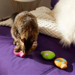 Frisco Colorful Skulls Plush Cat Toy With Catnip, 3 Count 9 Frisco Colorful Skulls Plush Cat Toy With Catnip, 3 Count -Pet Cat Supplies Shop 270325 PT3. AC SS1800 V1630350992