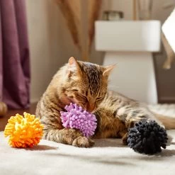 Frisco Halloween Moppy Ball Cat Toy With Catnip -Pet Cat Supplies Shop 270337 PT3. AC SS1800 V1624817812