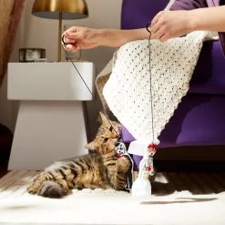 Frisco Sugar Skull Bride & Groom Bouncy Cat Toy With Catnip, 2 Count -Pet Cat Supplies Shop 270343 PT3. AC SS1800 V1624817778