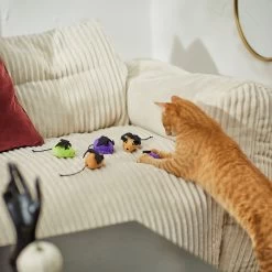 Frisco Halloween Bat Mice Plush Cat Toy With Catnip 8 Frisco Halloween Bat Mice Plush Cat Toy With Catnip -Pet Cat Supplies Shop 270353 PT3. AC SS1800 V1624817260