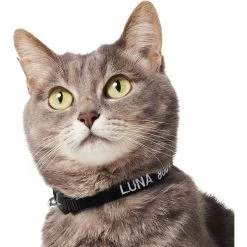 Frisco Nylon Personalized Breakaway Cat Collar With Bell 11 Frisco Nylon Personalized Breakaway Cat Collar With Bell -Pet Cat Supplies Shop 270731 PT3. AC SS1800 V1618936954