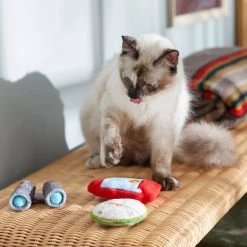 Frisco Camping Compass & Lantern Plush Cat Toy With Catnip, 2 Count -Pet Cat Supplies Shop 270985 PT3. AC SS1800 V1625009053