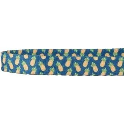 Frisco Pineapple Polyester Personalized Breakaway Cat Collar With Bell 11 Frisco Pineapple Polyester Personalized Breakaway Cat Collar With Bell -Pet Cat Supplies Shop 271597 PT3. AC SS1800 V1618937222