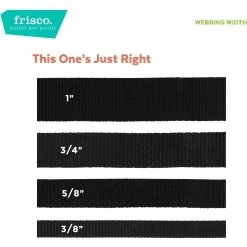 Frisco Pineapple Polyester Personalized Breakaway Cat Collar With Bell 13 Frisco Pineapple Polyester Personalized Breakaway Cat Collar With Bell -Pet Cat Supplies Shop 271597 PT6. AC SS1800 V1629992517