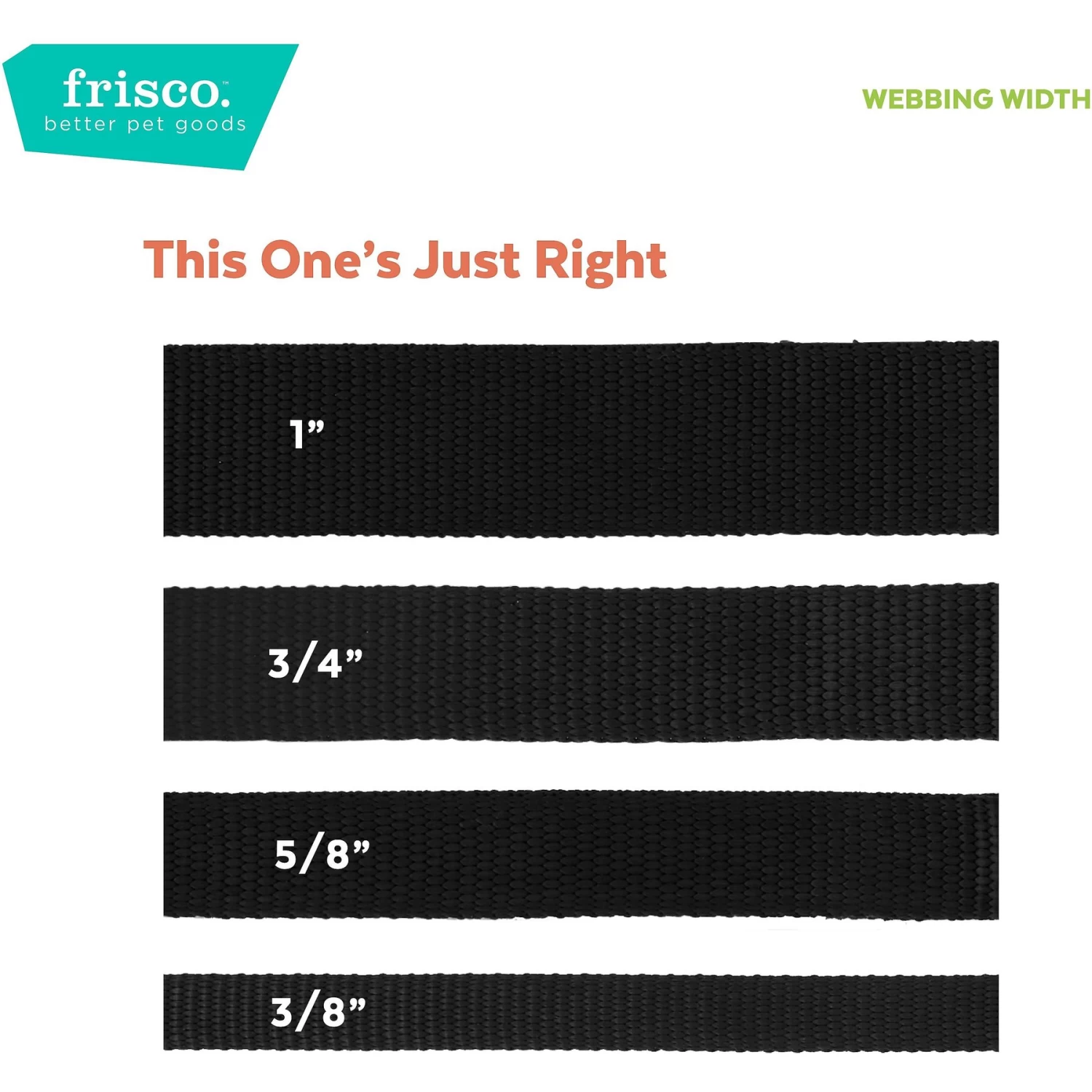 Frisco Pineapple Polyester Personalized Breakaway Cat Collar With Bell 8 Frisco Pineapple Polyester Personalized Breakaway Cat Collar With Bell - Image 6