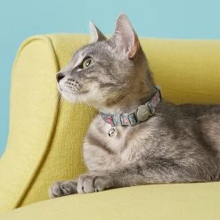Frisco Rose Polyester Personalized Breakaway Cat Collar With Bell -Pet Cat Supplies Shop 271600 PT4. AC SS1800 V1618936952