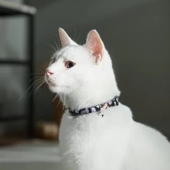 Frisco Flying Ghosts Cat Collar -Pet Cat Supplies Shop 272888 PT8. AC SS1800 V1623879659