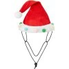 Frisco Holiday Poms Dog & Cat Santa Hat -Pet Cat Supplies Shop 276194 MAIN. AC SS1800 V1631302615