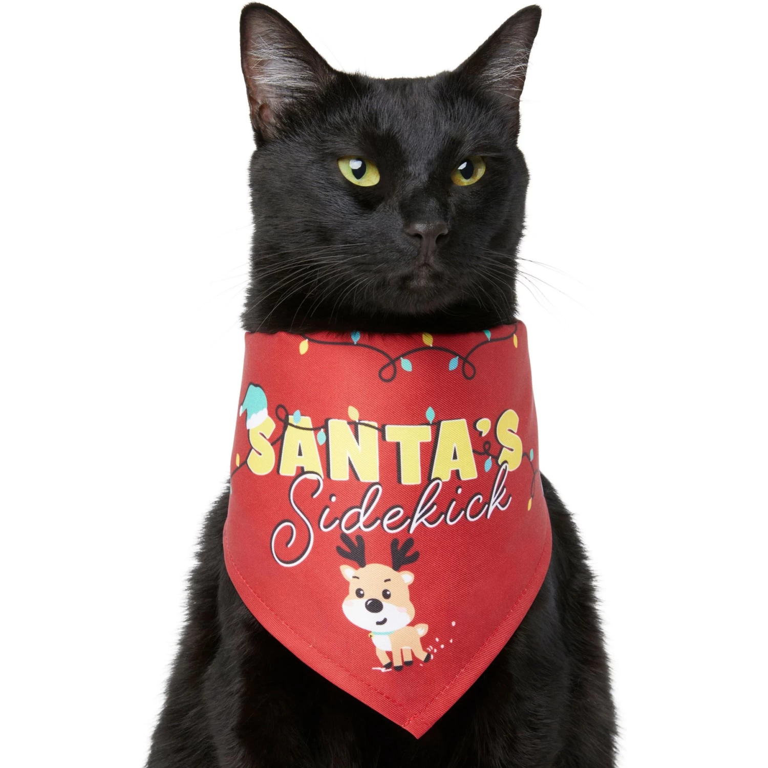 Frisco Santa's Sidekick Dog & Cat Bandana 3 Frisco Santa's Sidekick Dog & Cat Bandana